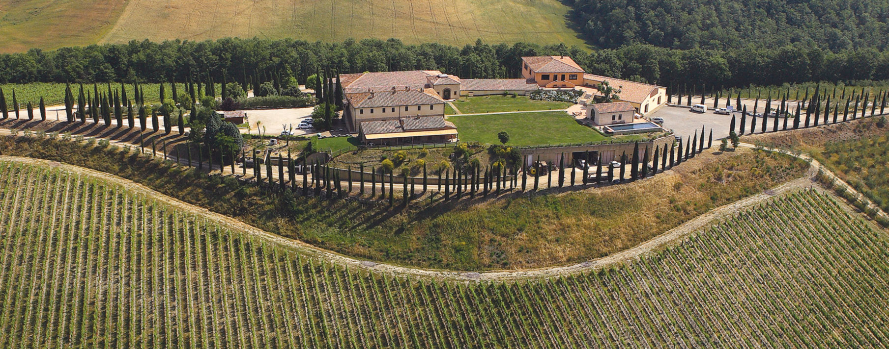 Caparzo vista aerea vigne