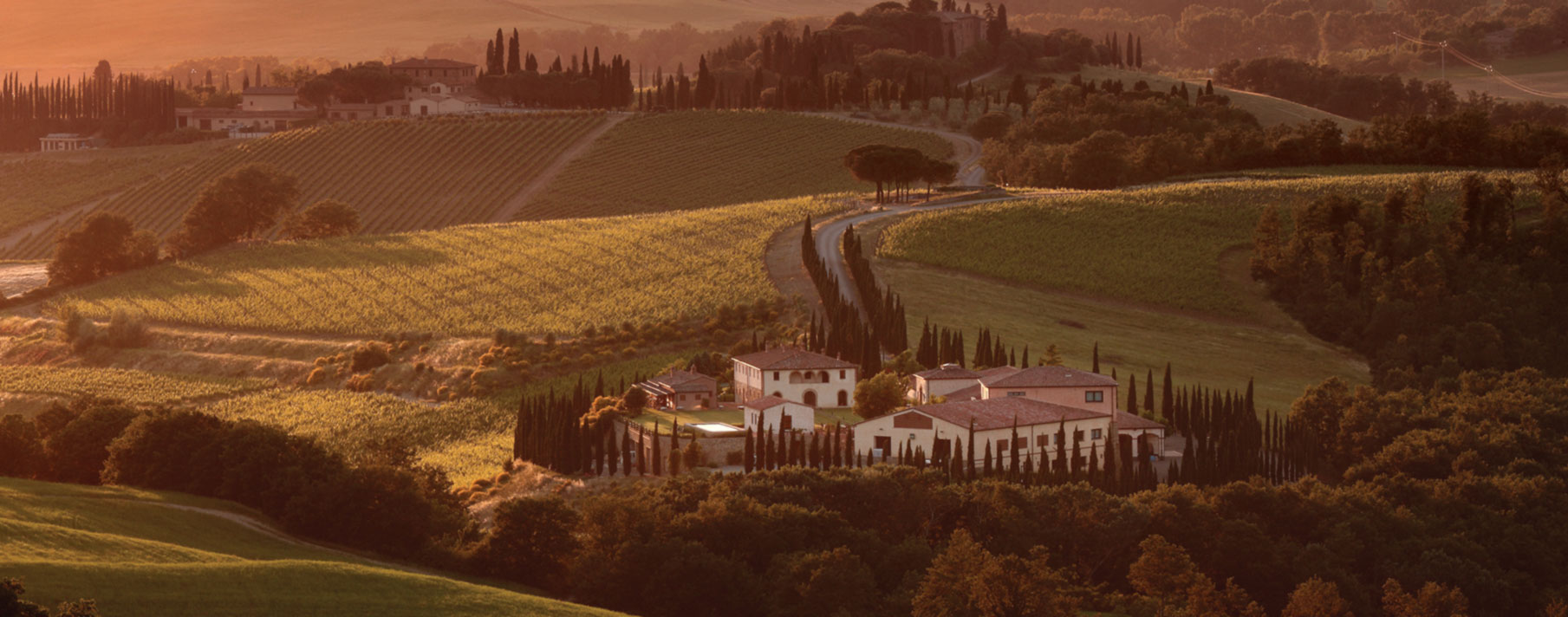 azienda Caparzo vino Montalcino